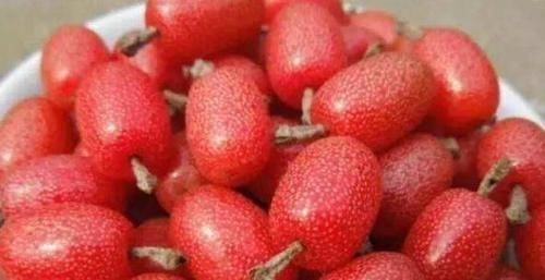 常吃|人到中年想长寿,要坚持吃3种食物,排毒养颜,提高免疫力!