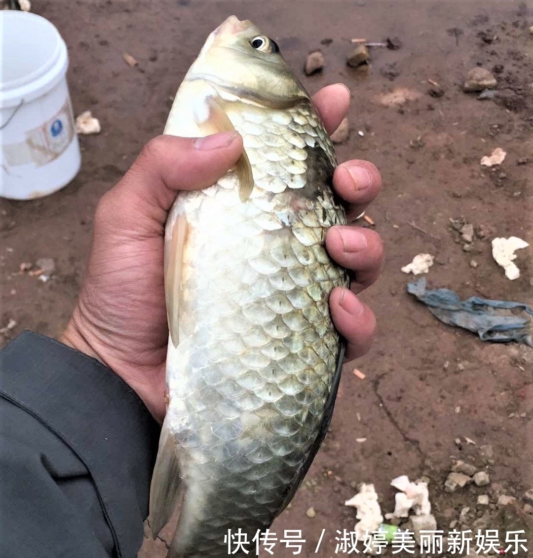 钓法|详细解读调四钓二,通过分析,才知道有些场景根本不适合调四钓二