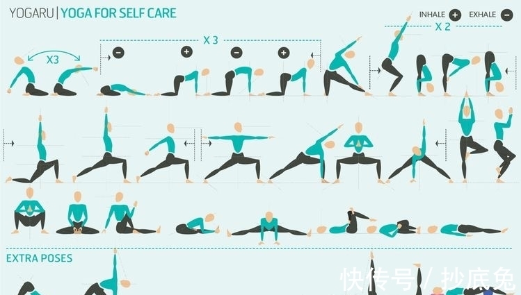 秘密|9幅珍藏级瑜伽挂图，揭开瑜伽老师备课的秘密！