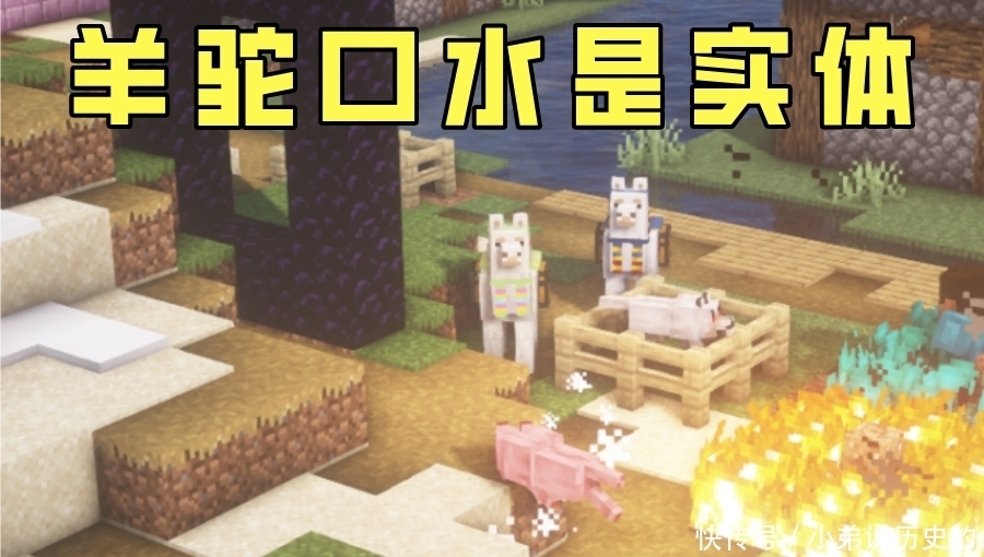 我的世界 被叫错名字5年的生物 Mc里的 羊驼 不叫羊驼 天合乐学帮助家长发现孩子的更多可能 我的世界 被叫错名字5年的生物 Mc里的 羊驼 不叫羊驼 天合乐学帮助家长发现孩子的更多可能