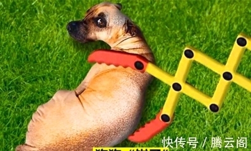 卫生棉条|9个鲜为人知,但却在历史上真实出现过的“奇葩”发明