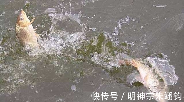 钓鱼“线组”越细越灵敏?别被骗了!这才是正确选择