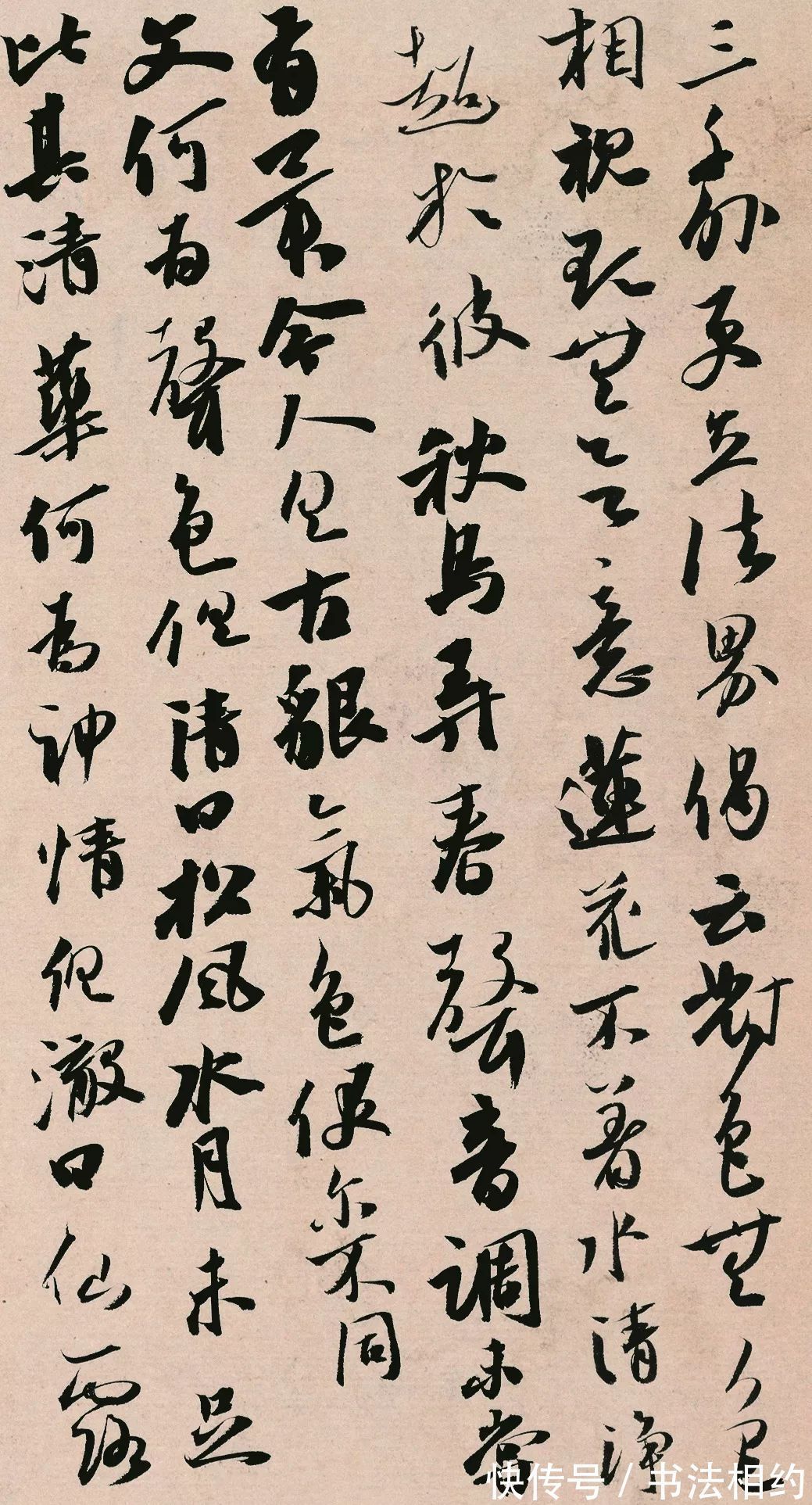 书家#80后书家实力不凡,杨科云领衔,三体入国展,第七届兰亭斩铜奖