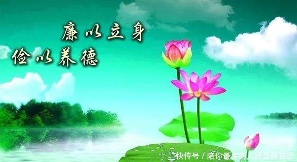 廉韵潭宣‖莲开潭邑洁入灵魂