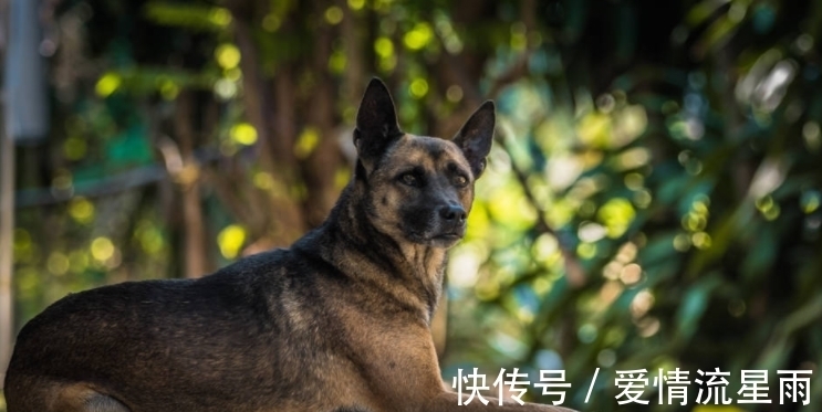 我一个人|凌晨时分,不听丈夫劝阻的我坚持晨跑,然而,却遭遇了意外