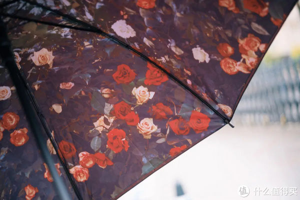 玫瑰|旅行其实很简单 篇九百八十七:入住送粉色玫瑰,整家酒店都是Pink!Pink!Pink!