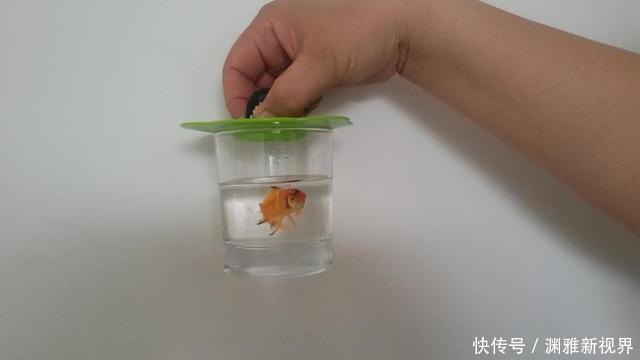 气压多少帕才能去钓鱼,得了解这三个参数值,才能心中有数