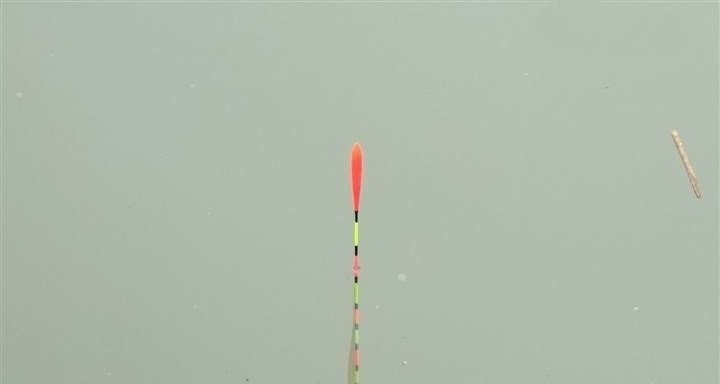 为什么说野钓就要钓钝，这几个原因告诉你，钓钝到底有多实用