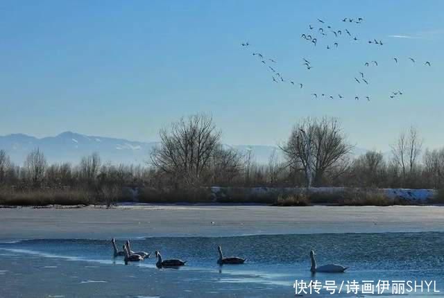 春暖芳草湖|彩色伊宁| 中年