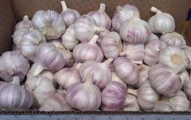 核桃|以下“2物”加大蒜泡着吃,血管干净通畅,肾也越来越健壮