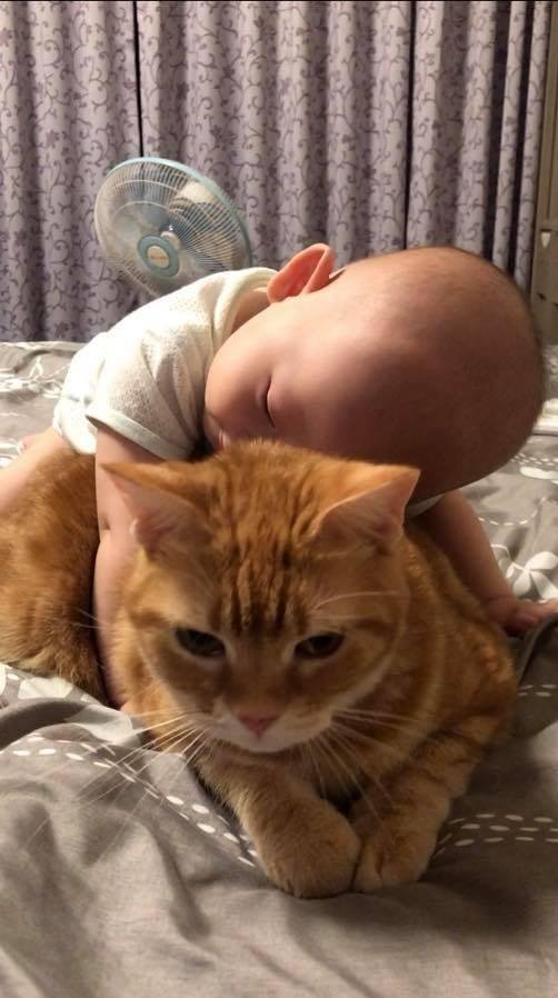 lise|睡前做这个动作,孩子睡得香还聪明!可惜很多家长并不知道