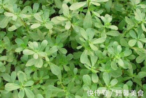 延缓衰老|想长寿要会吃,坚持常吃3种食物,健脑益智,延缓衰老,增强体质