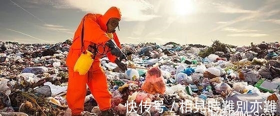 细菌|新研究发现：牛靠吃草长肌肉，所以能消化塑料，牛为什么这么牛？