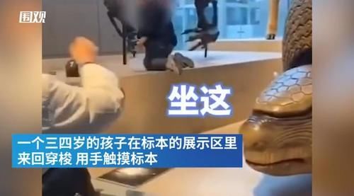 博物馆又见熊孩子，家长行为更迷惑