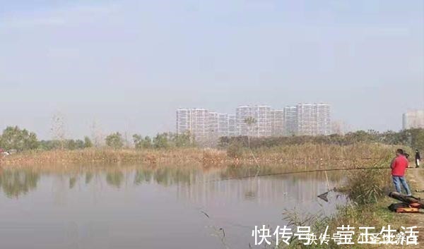 鲫鱼|冬季钓鱼,用这种钓法,把饵料递到鱼嘴边,帮你快速“撬开“鱼嘴