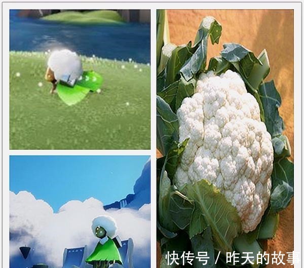 发型 光遇爆炸头是一种很酷的发型,它受欢迎说明一个很治愈的道理!