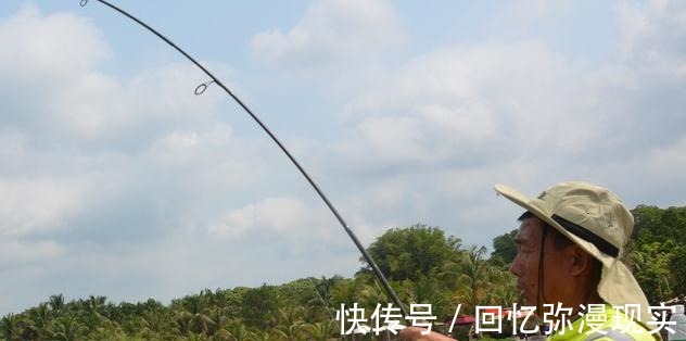 钓鱼|夏季三伏天钓鱼怎么钓钓鱼高手给你支个招,提高中鱼率!