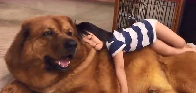 身高|孩子的起床时间,若早于这个点,身高可能要被同龄人超10厘米