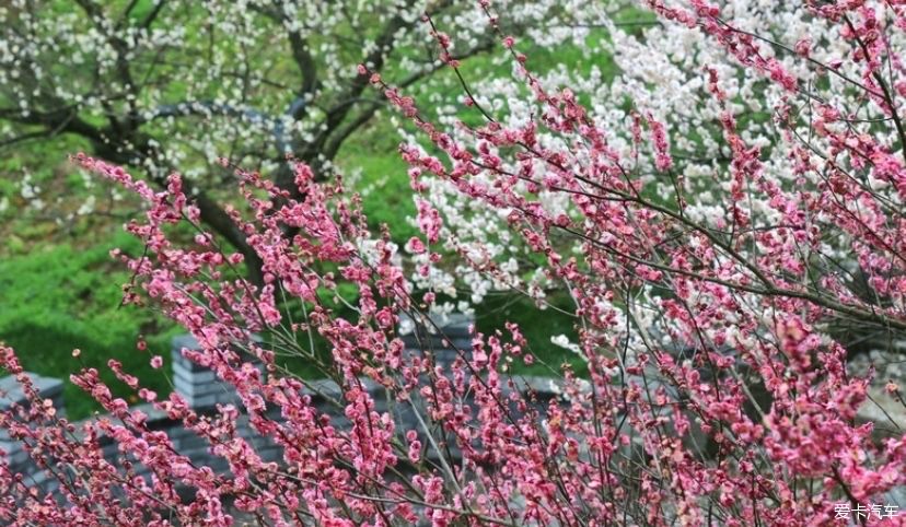 一日穿越四朝，恍若梦回千年