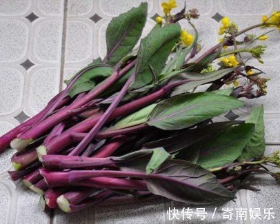红菜苔红菜苔|聪明人都在吃3种食物，补充营养，滋润肌肤，女人吃了更年轻！