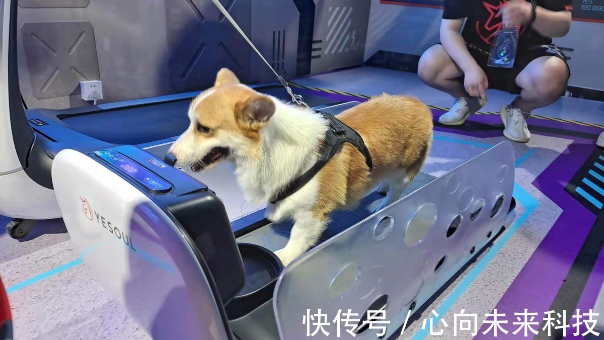 天机阁|淘宝造物之城探险对抗虽败犹荣，明年再战！