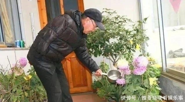 顺口溜|养花浇水的顺口溜,记好了,叶肥根壮花满盆