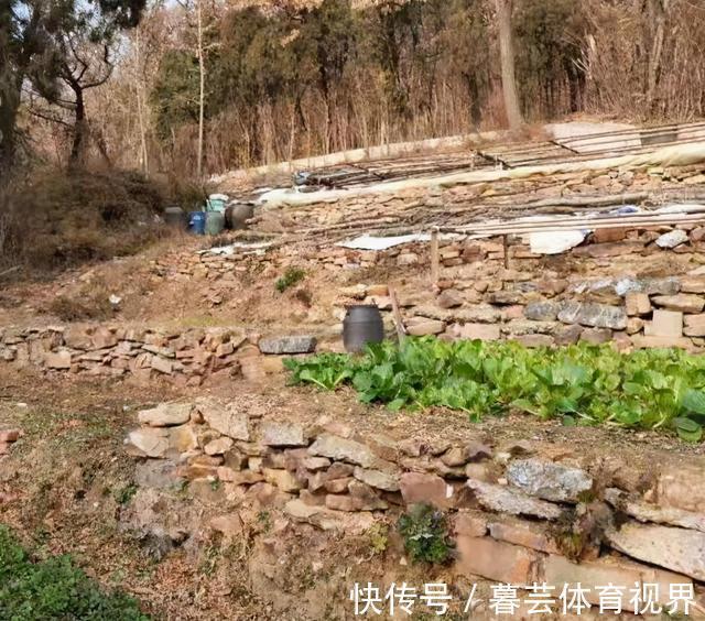 一家人@94岁老人全家住在绝壁山顶，开垦30亩荒地求生，凿井储存雨水