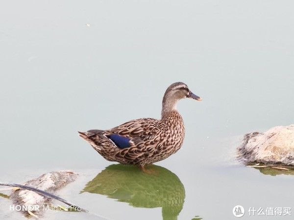 人脸识别|荣耀Magic3 Pro上手体验：高端并不只有性能，更是全能科技