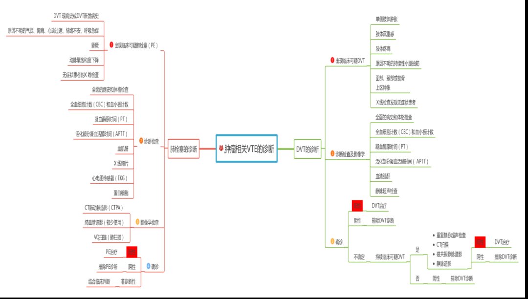 思维导图|巧用思维导图，轻松get血栓知识