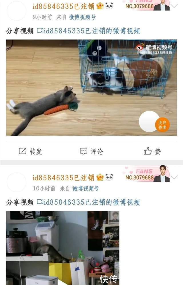 糊咖|糊咖丁澤仁被曝劈腿？私聯(lián)站姐嘴隊(duì)友朱正廷，房雖塌了卻無人傷亡