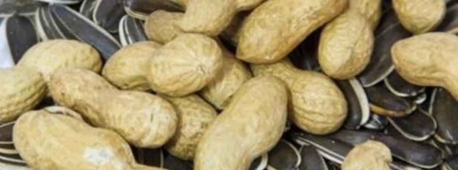 花生油|瓜子和花生，哪个让人长胖和减肥也许很多人都吃错了！