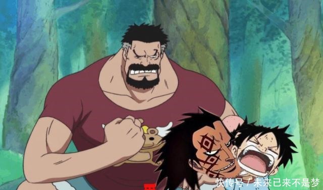 果实觉醒|海贼王作为革命军头领,为什么龙脸上一排“鞋印”有点打脸