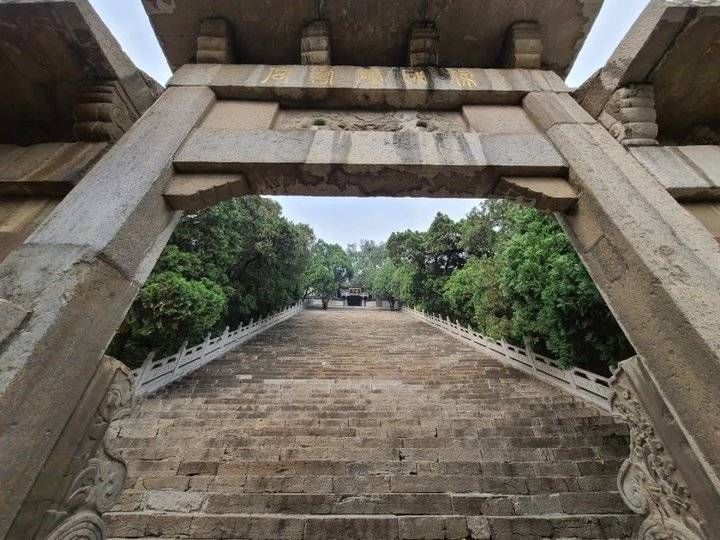 最美|奇山异崮，媲美泰山！这里的“银杏之王”才是晚秋最美的风景线