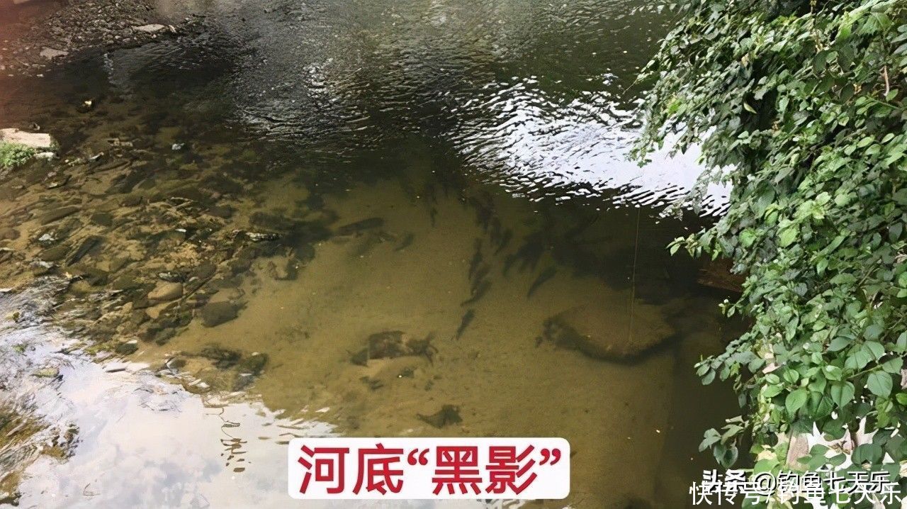 到处不让钓鱼，郑州却做出了榜样！河道划定垂钓区，钓友直呼过瘾