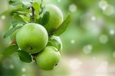 排毒养颜|女性不想人老珠黄,常吃以下食物,补血养颜,排毒护肤,延缓衰老