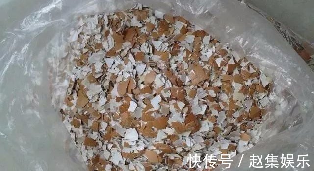 土壤|养花不用买土,用这几样东西掺一块儿,种什么花草都旺