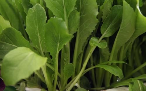 视网膜病变|专科医生告诉您:最适合糖尿病患者食用的6种蔬菜!降糖好帮手!