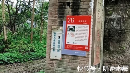 中国中学|探访无人居住的荒岛，曾做过巨大贡献，即将开发成湿地公园