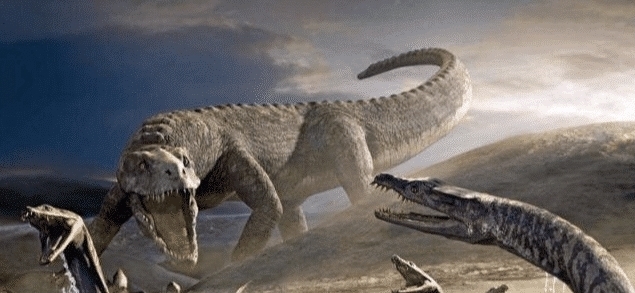 远古|《山海经》巴蛇吞象之谜:远古时期的蛇究竟有多大?真相很意外