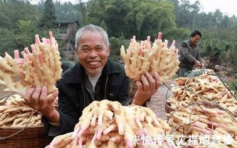 老中医|老中医:生姜配一宝,男人吃了腰强力壮,女性吃了容颜不老!