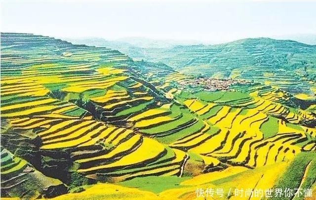 烧烤店|庄浪,这个热气腾腾的地方