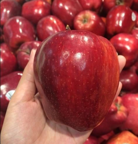 白血病|医生为了让孩子远离白血病,这3种水果不能买,别害了孩子