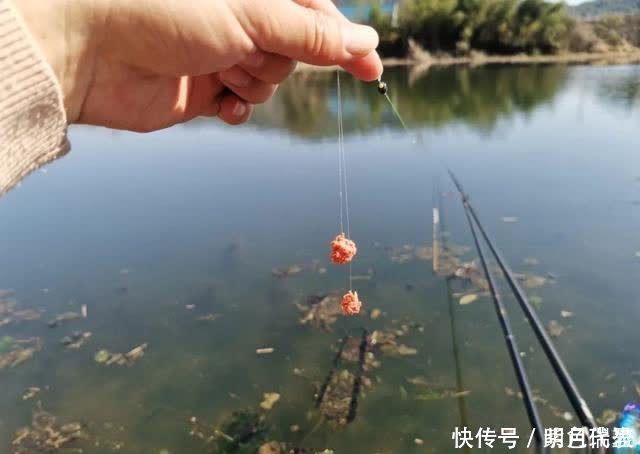 鲢鳙|为什么钓浮总没有收获?多半是你用错了地方,野钓要这样用才对