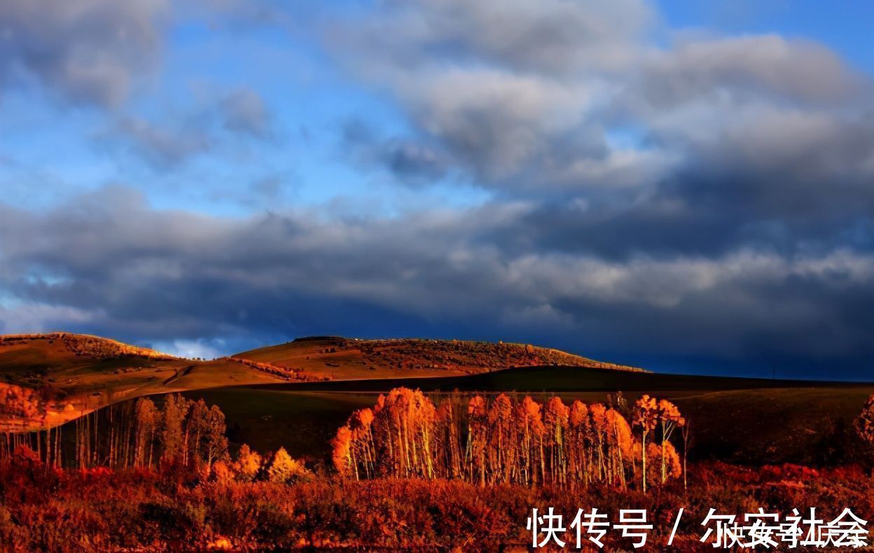 谁言寸草心#孟郊流传最广的一首诗，短短三十字，触动了多少人的心弦