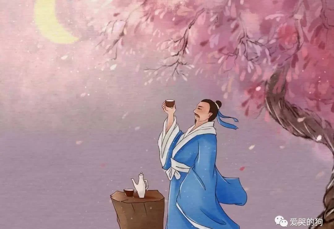 至理名言|白居易这首诗充满了禅理,给人一种大彻大悟之感,句句是至理名言