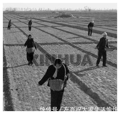 石家庄藁城县五六十年代老照片