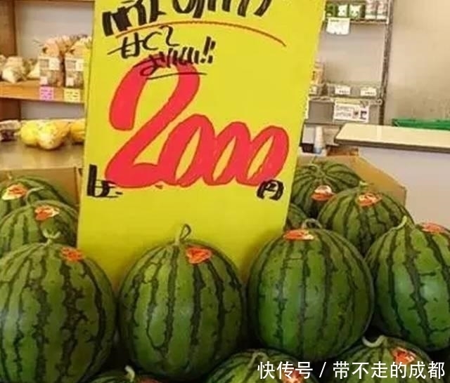 日本|西瓜在日本是奢侈品,为什么会那么贵呢?