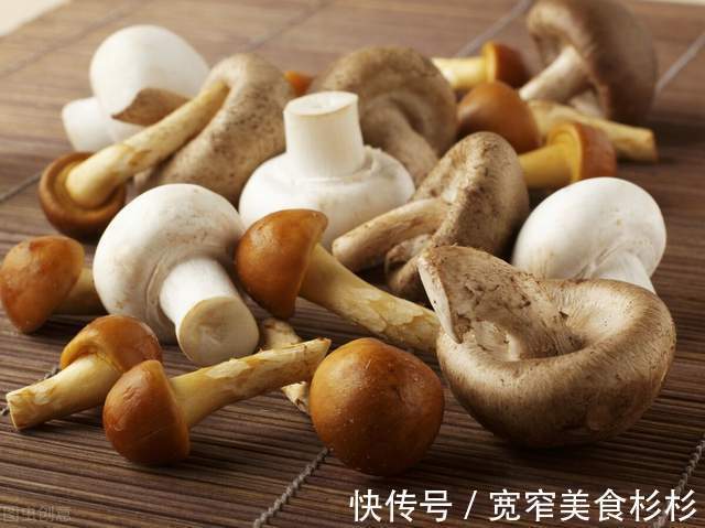 杏鲍菇|9大常见蘑菇菌类的最佳吃法，这么做比肉还香！