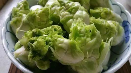 新鲜蔬菜可以放冰箱冷藏吗(图1)