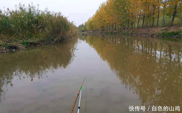 惊蛰之后钓浅滩，注意不是水浅就叫浅滩，这样的地形才有鱼群！